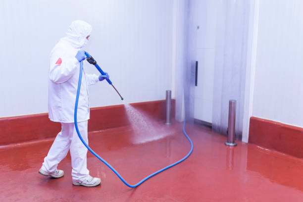 Best Patio and Deck Pressure Washing  in Fort Davis, TX